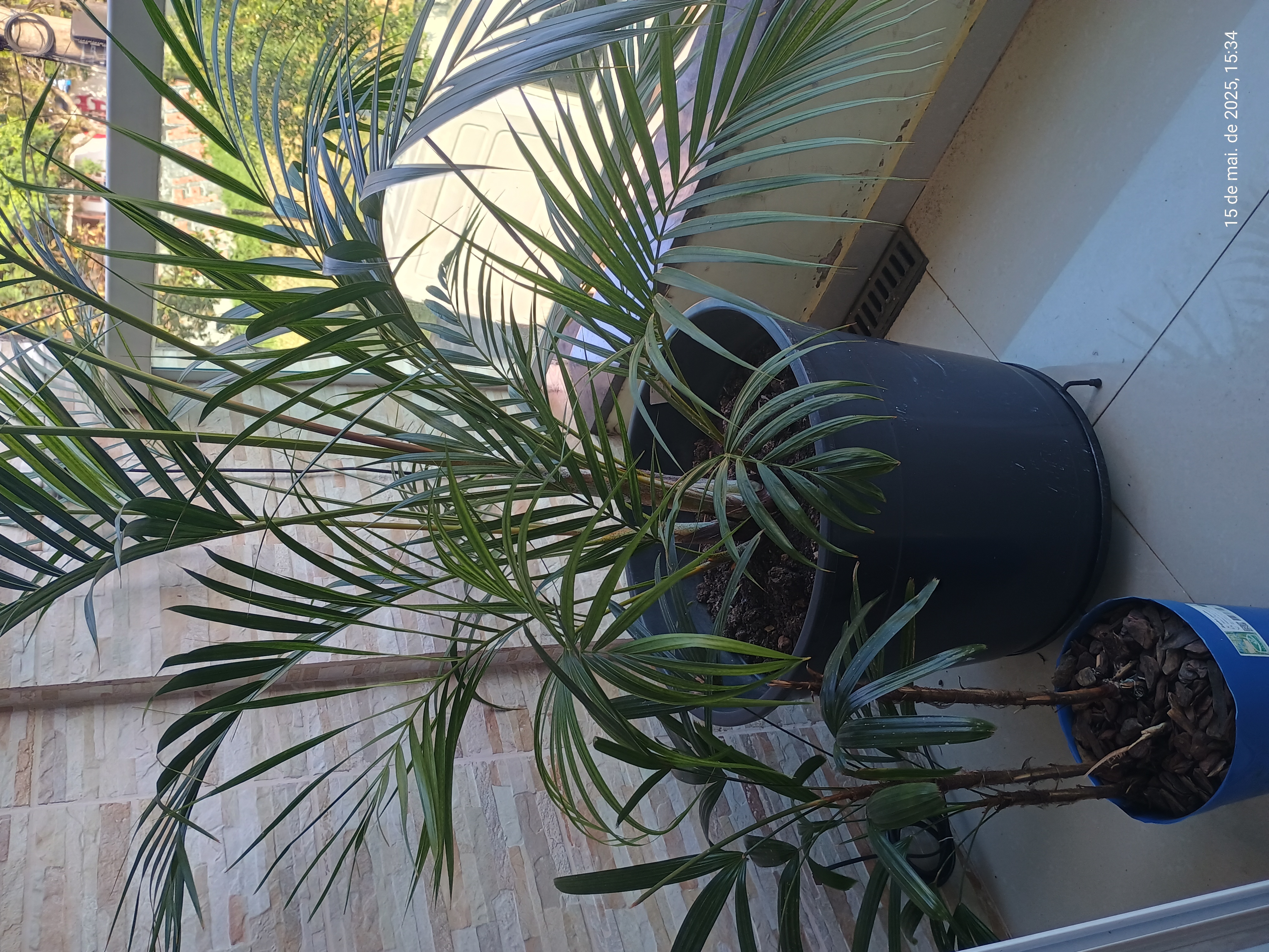 Casa à venda com 3 quartos, 84m² - Foto 11