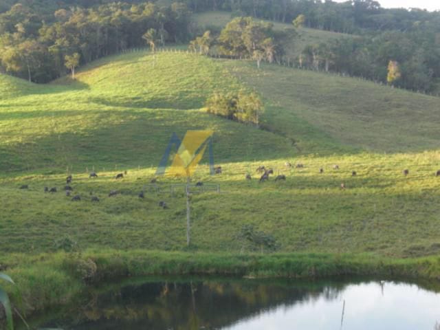 Terreno à venda, 194153m² - Foto 9