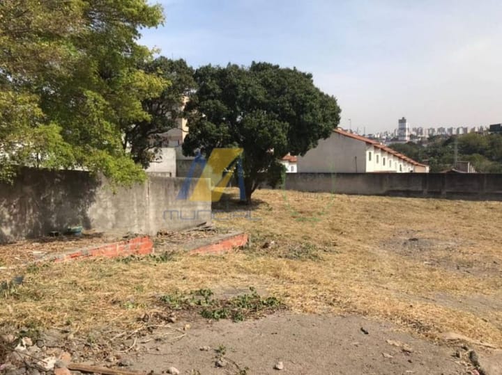 Loteamento e Condomínio para alugar, 2166m² - Foto 5