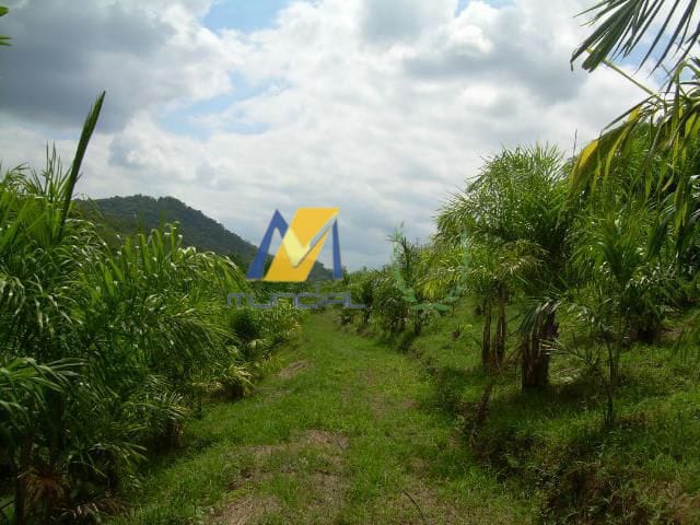 Terreno à venda, 194153m² - Foto 8