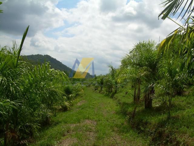 Terreno à venda, 194153m² - Foto 8