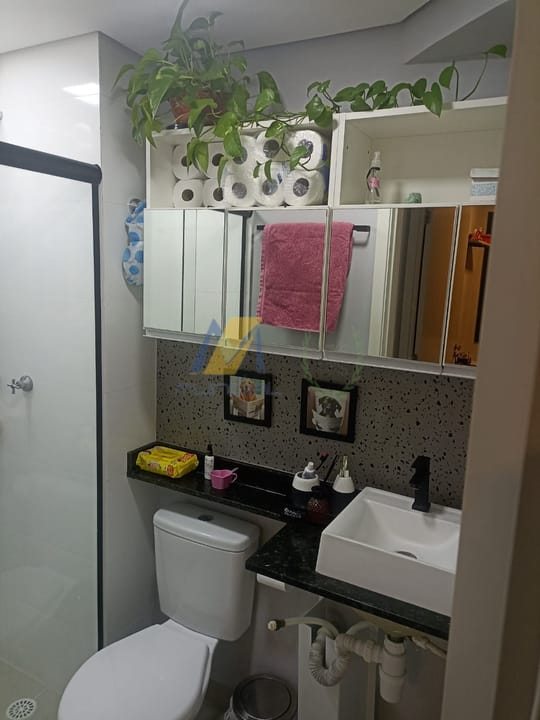 Apartamento à venda com 2 quartos, 39m² - Foto 14