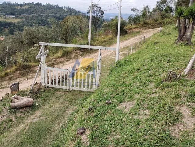 Fazenda à venda com 4 quartos, 6450m² - Foto 9