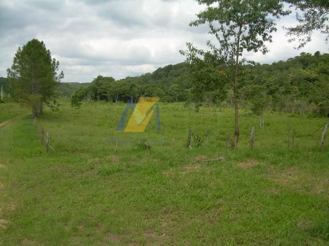 Terreno à venda, 194153m² - Foto 10