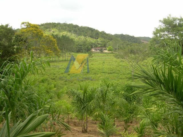 Terreno à venda, 194153m² - Foto 5