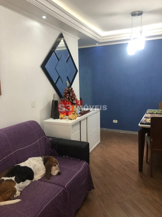 Apartamento à venda com 3 quartos, 68m² - Foto 6