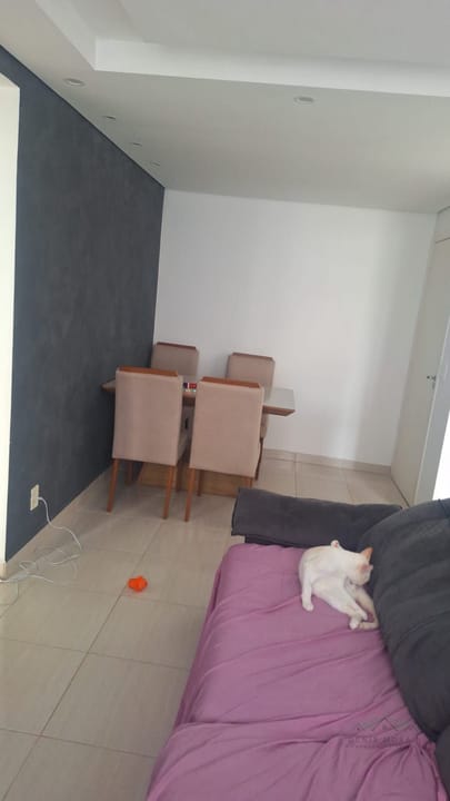 Apartamento à venda com 2 quartos, 50m² - Foto 11